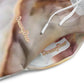 Dreamy dear Wide-leg Joggers, Marbled Seashell