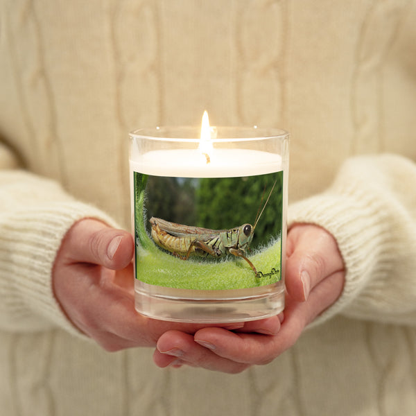 Dreamy Dear Glass jar soy wax candle, Riding the Sunflower